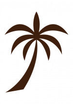 Cocotier Cocotier